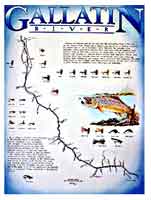 River Odyssey Print Gallatin
